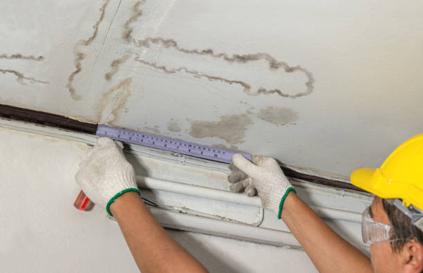 Reliable Sewage Cleanup contractor in Buford, WY by Water Damage Irwin